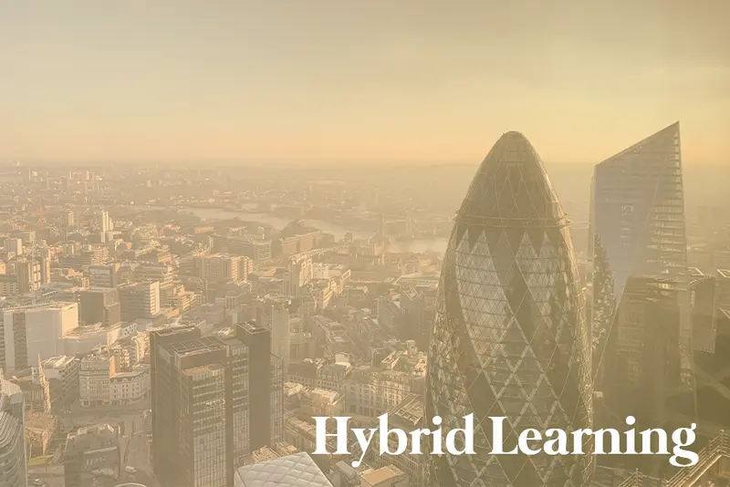 (IFRS) International Financial Reporting Standards in English (hybrid program)