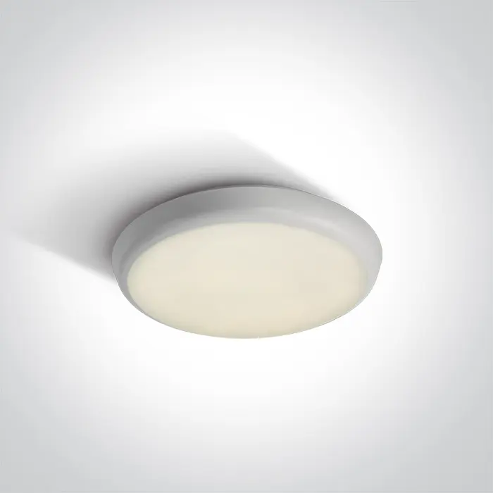 ONE Light Ceiling Light 67366E/W/C WHITE LED PLAFO 12w CW IP54 EMERGENCY 3 hrs 230V