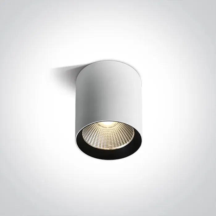ONE Light LED Driver 67516A/W/W WHITE COB LED 15W WW IP65 230V DARK LIGHT