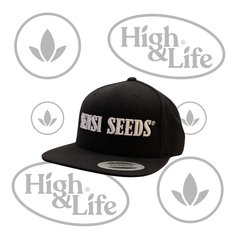 Sensi Seeds lippalakki (musta)