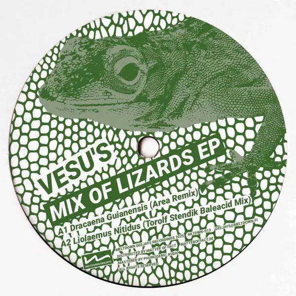 Vesu's – Mix Of Lizards EP (12")